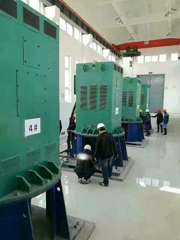 YKK5003-6某污水处理厂使用我厂的立式高压电机安装现场