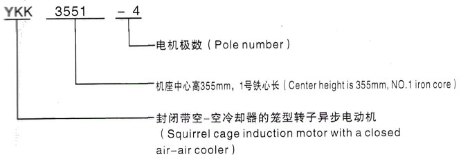 YKK系列(H355-1000)高压YKK5003-6三相异步电机西安泰富西玛电机型号说明