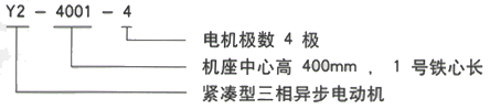 YR系列(H355-1000)高压YKK5003-6三相异步电机西安西玛电机型号说明